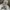 Vintage Y2K Hoody Pria white photo 3