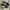 Adidas Casual Sneakers Pria black photo 1