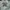 Dickies Streetwear Casual Hoody Pria white photo 1