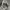 Nike ACG Gorpcore Bag Pria green photo 8