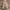 American Eagle Casual Pria khaki photo 1
