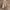 American Eagle Casual Pria khaki photo 2
