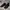 Adidas Casual Casual shoe Pria black photo 1