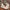 Adidas Casual Sneakers Pria white photo 2