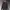 Maison Kitsuné Skater Sportswear Leather jacket Wanita navy photo 5