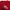 Quiksilver Streetwear Y2K T-shirt Pria red photo 5