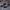 Adidas Sportswear Sneakers Pria white blue photo 1