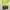 Quiksilver Streetwear Y2K Short Pria gray yellow photo 4