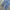 Levi's Vintage Streetwear Jeans Pria blue photo 4