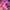 Minimalist Casual Wanita pink blue photo 4