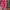 Minimalist Casual Wanita pink blue photo 3