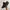 VANS Vintage Y2K Pria black photo 2