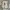 Adidas Casual Sneakers Pria white photo 6