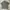 Castelbajac Vintage Y2K Casual shirt Pria green photo 3