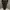 Vintage Streetwear Pria black photo 6