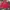 Levi's Casual Track Jacket Pria Red