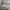 Adidas Yeezy 500 Blush  photo 5