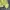 Adidas Vintage Casual Windbreaker Pria yellow photo 7