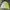 Adidas Vintage Casual Windbreaker Pria yellow photo 2