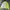 Adidas Vintage Casual Windbreaker Pria Yellow