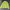Adidas Vintage Casual Windbreaker Pria yellow photo 1