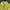 Adidas Vintage Casual Windbreaker Pria yellow photo 3