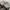 Converse Chuck 70 Low Black White photo 6