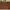 Kate Spade Luxury Minimalist Wanita brown photo 1