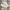 Adidas Casual Sneakers Pria white photo 1