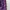 Casual Wanita purple pink photo 4