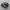 Salomon Gorpcore Sportswear Sneakers Pria white black photo 1