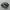 Salomon Gorpcore Sportswear Sneakers Pria White Black