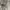 Oakley Streetwear Casual Puffer jacket Pria gray photo 5