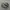 Salomon Gorpcore Sportswear Sneakers Pria tan brown photo 1