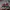 Nike Sportswear Casual shoe Pria red gray photo 5