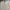 Polo Ralph Lauren Luxury Minimalist Polo shirt Pria tan photo 3