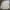 Polo Ralph Lauren Luxury Minimalist Polo shirt Pria tan photo 6