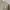 H&M Streetwear Casual Casual shirt Pria tan photo 5
