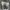 thisisneverthat Streetwear Casual Casual shirt Pria gray photo 3