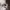 KIRSH Streetwear Sportswear Crop top Wanita multicolor photo 4