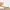 ZARA Vintage Fairy Flat Wanita tan photo 1