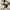 WHO.A.U Streetwear Casual Fur coat Pria white tan photo 2