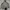 Uniqlo Casual Leather jacket Pria gray photo 1