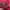 Streetwear Futurist Sweater Wanita red photo 5
