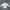 Vintage Casual Polo shirt Pria white photo 2