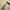 Vintage Luxury Pria gold white photo 6