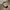 Vintage Luxury Pria gold white photo 2
