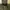 Burberry Luxury Midi dress Wanita tan black photo 4