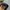 47 Brand Sportswear Casual Hat Pria navy photo 7