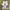 Adidas Casual Sneakers Pria white photo 4